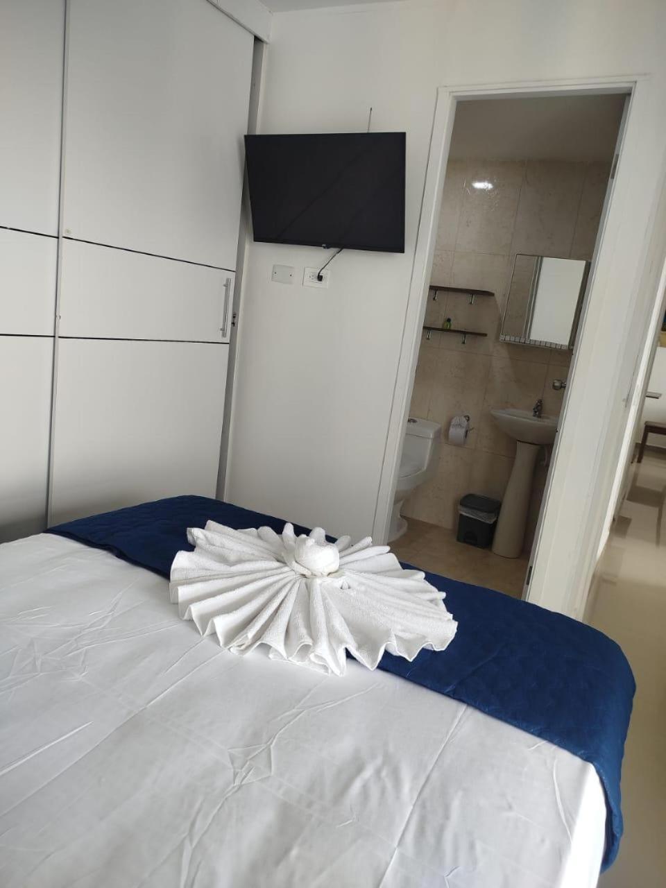 Search In The Historic Center T6 Apartment